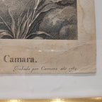 Grabado “Santa María Magdalena” Manuel Salvador Carmona, siguiendo a Mengs, Neoclasicismo, 1784 – España