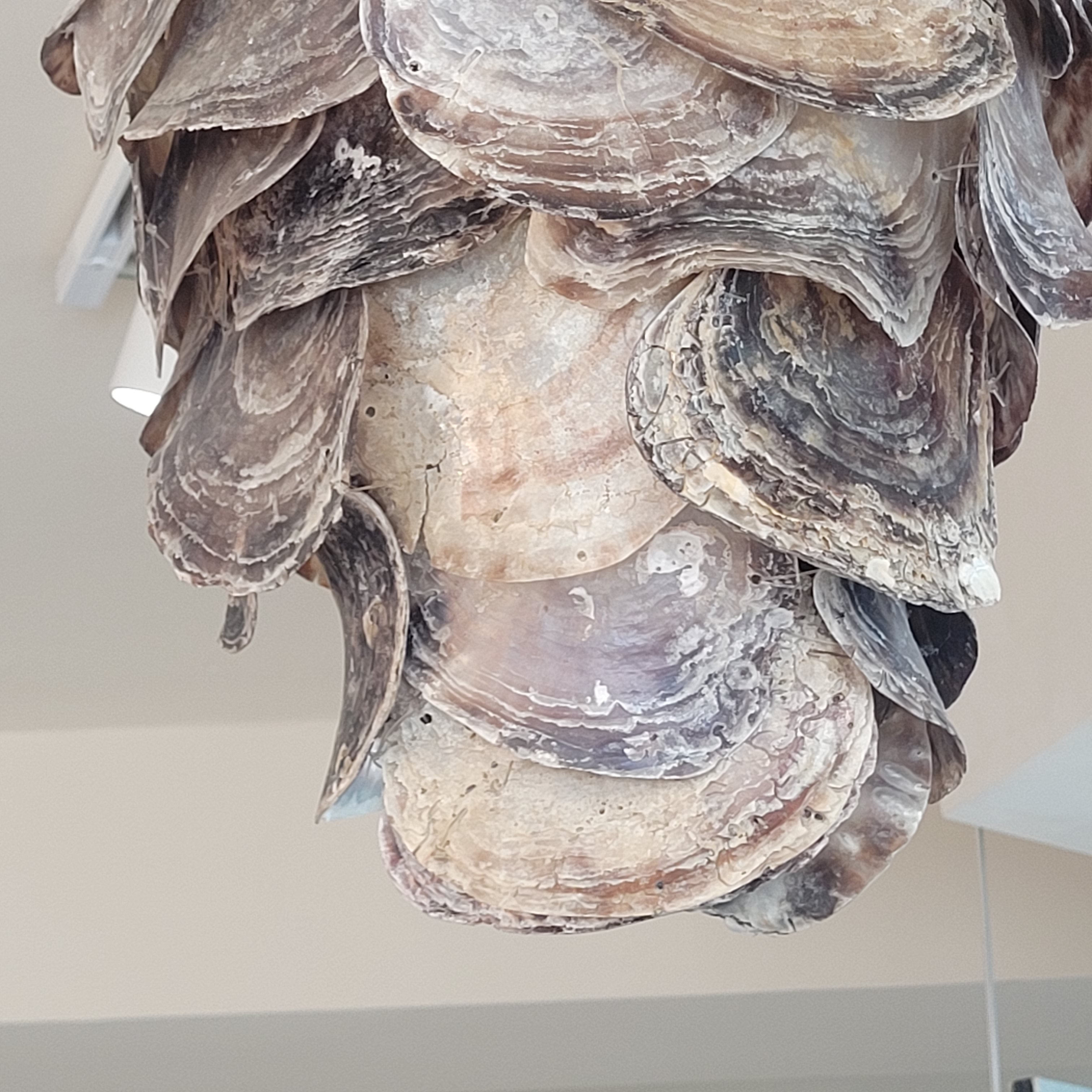Lámpara de conchas, Ostras chinas naturales, s. XXI - Bali, Indonesia