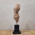 Torso clasicista en escayola, s. XX - Francia