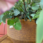 Jarrón “bouquetière” / Florero perforado, Cerámica de Accolay, 60 - 70’s – Francia