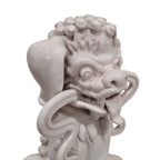 Pareja León de Foo (Fo o Shizi) Cerámica vidriada, Dinastía Qing, s. XIX - China