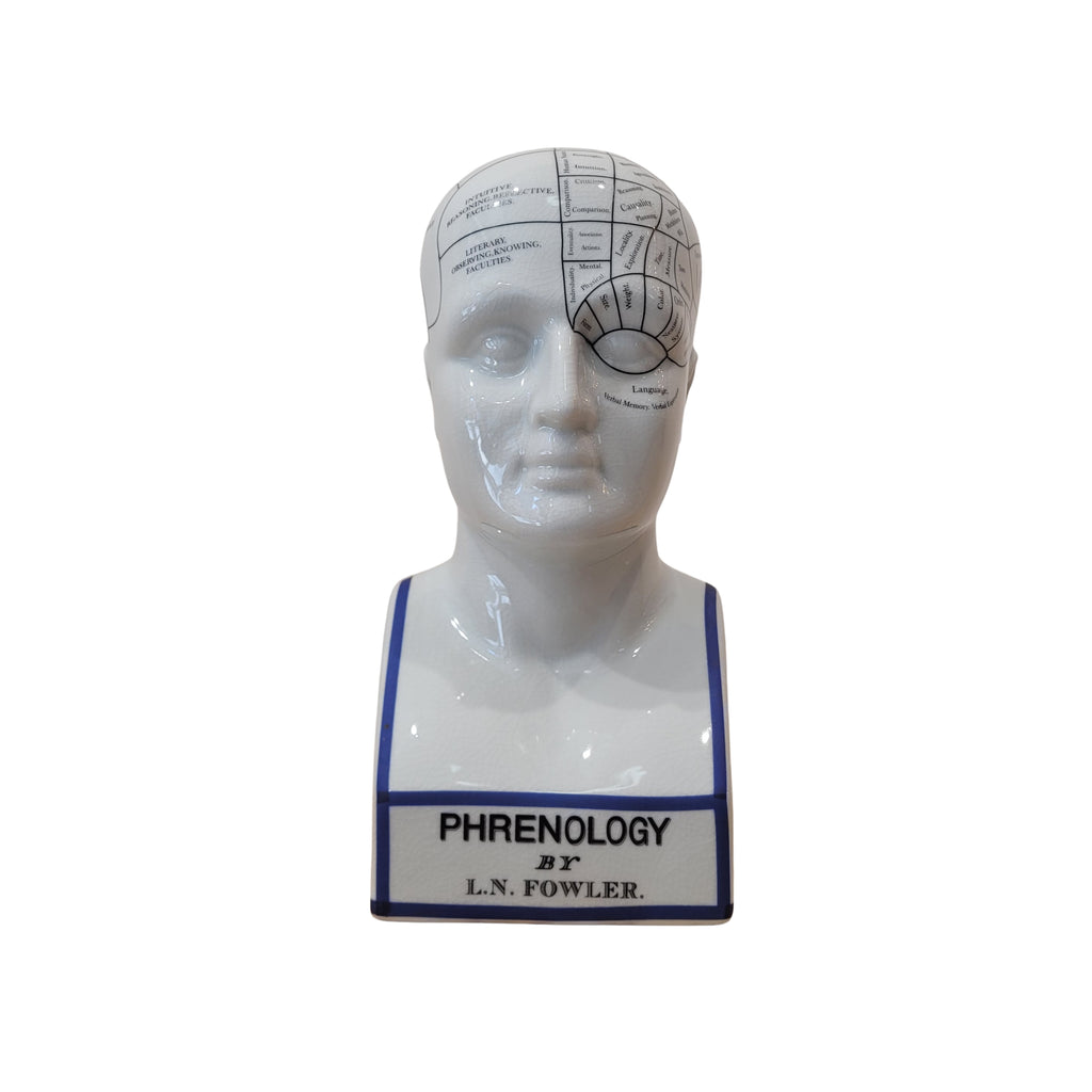 Busto frenológico ”L. N. Fowler”, Authentic Models, Porcelana esmaltada, c. 1990 – Países Bajos