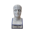 Busto frenológico ”L. N. Fowler”, Authentic Models, Porcelana esmaltada, c. 1990 – Países Bajos