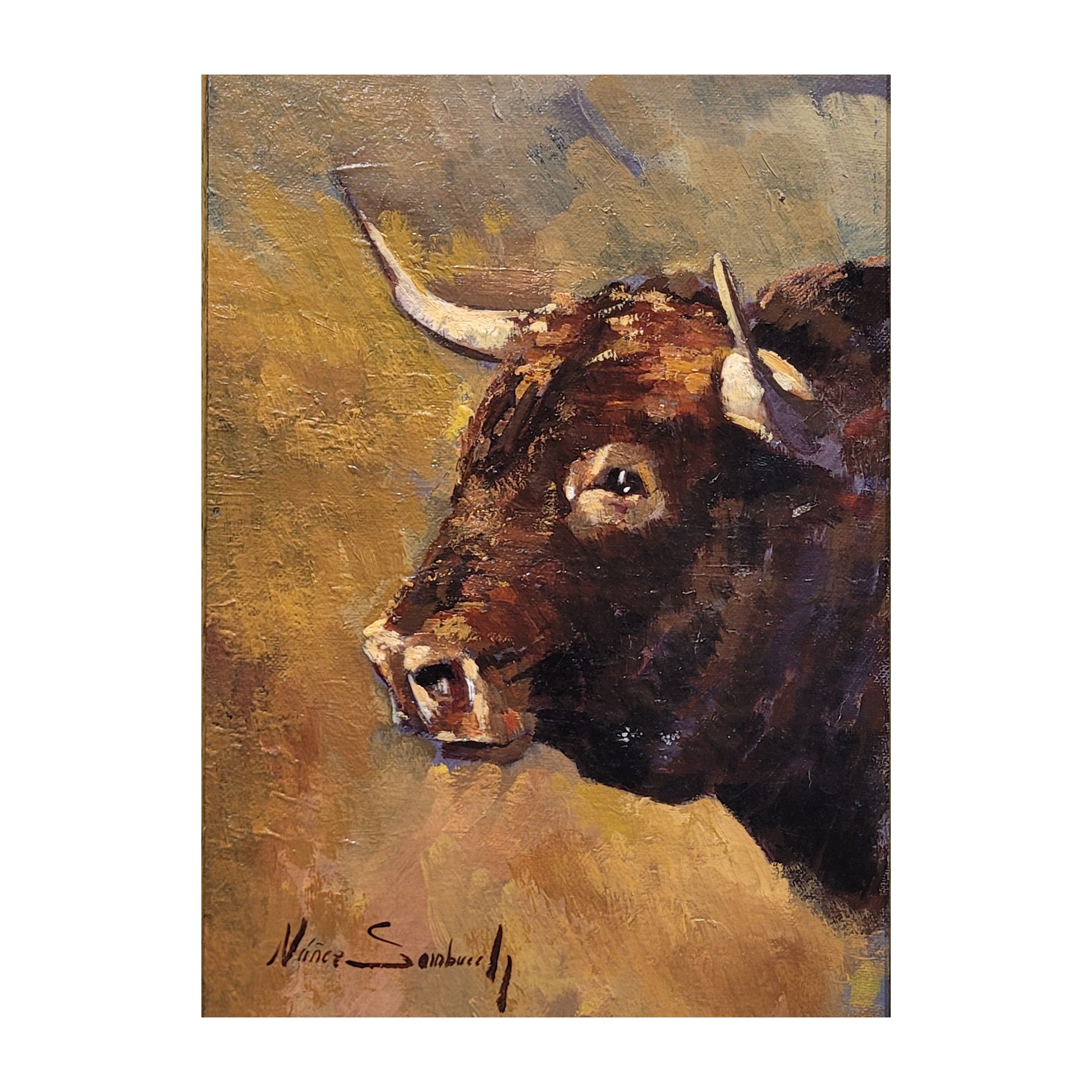 Óleo sobre cartón “Toro”, Núñez Sambucety, s.XXI - Valladolid, España