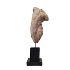 Torso clasicista en escayola, s. XX - Francia